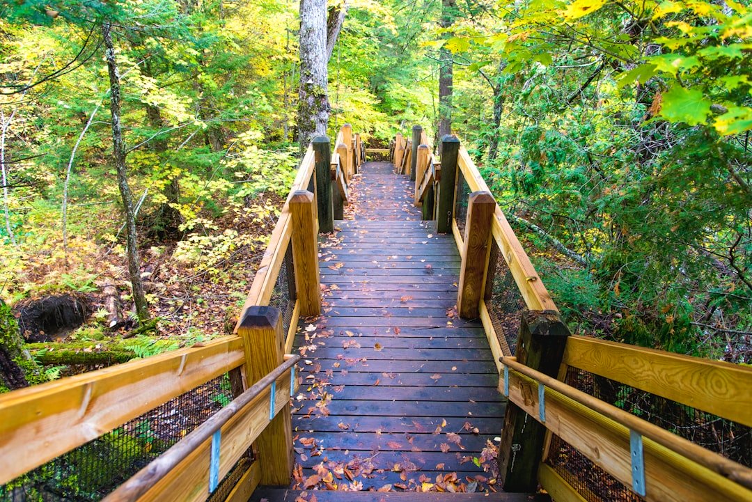 20 Quotes About the Journey to Success