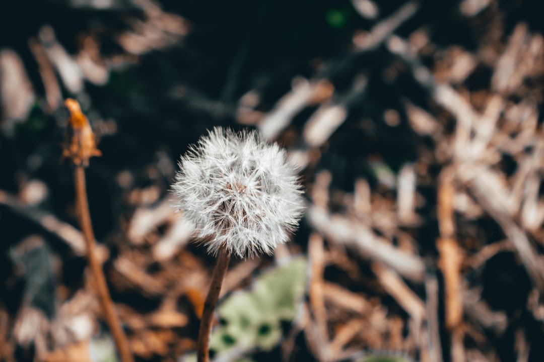 15 Breaking Free from Victim Mentality
