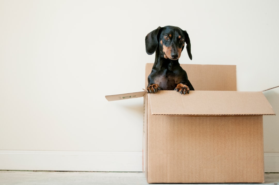 15 Moving Day Hacks to Save Time