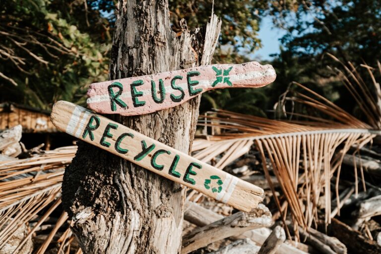 10 Clever Ways to Reuse Everyday Items