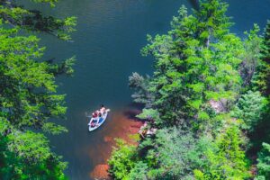 20 Summer Bucket List Ideas for Personal Growth