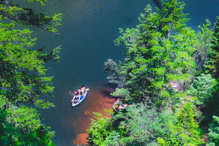 20 Summer Bucket List Ideas for Personal Growth