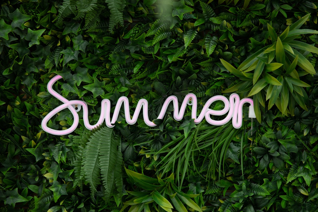 12 Ways to Build Better Summer Habits