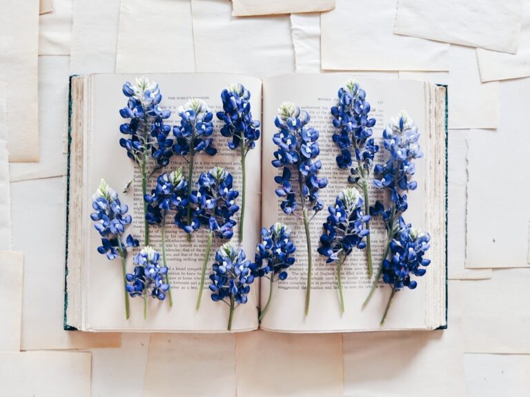 20 Summer Reading List for Personal Growth