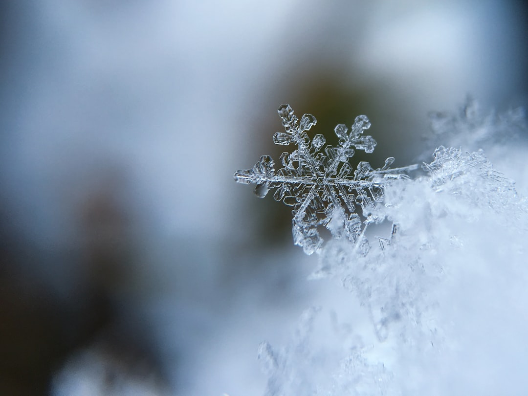 25 Winter Survival Hacks