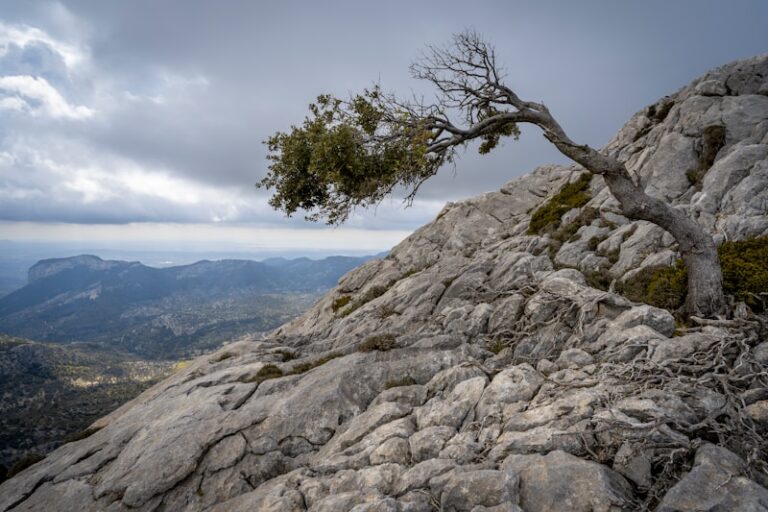 7 Ways to Build Mental Resilience