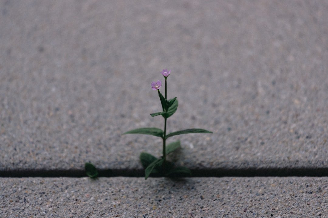 30 Quotes About Resilience Daily