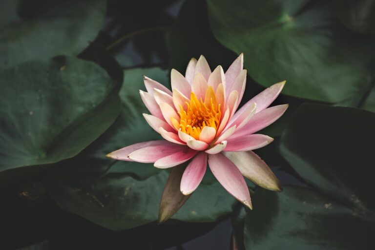 15 Steps to Cultivate Self-Awareness