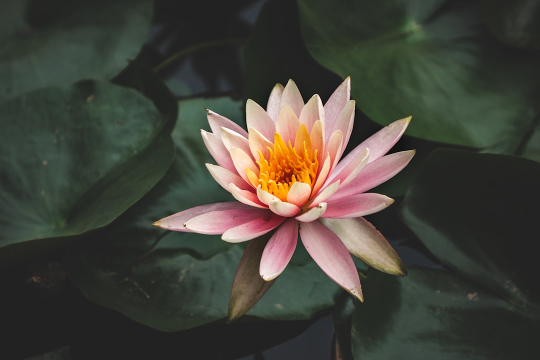 15 Steps to Cultivate Self-Awareness