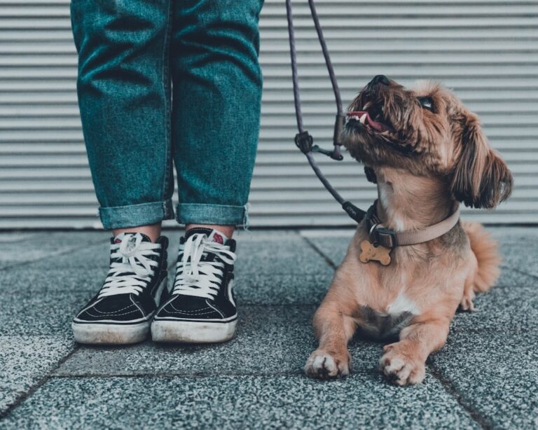 20 Ways to Foster Self-Trust