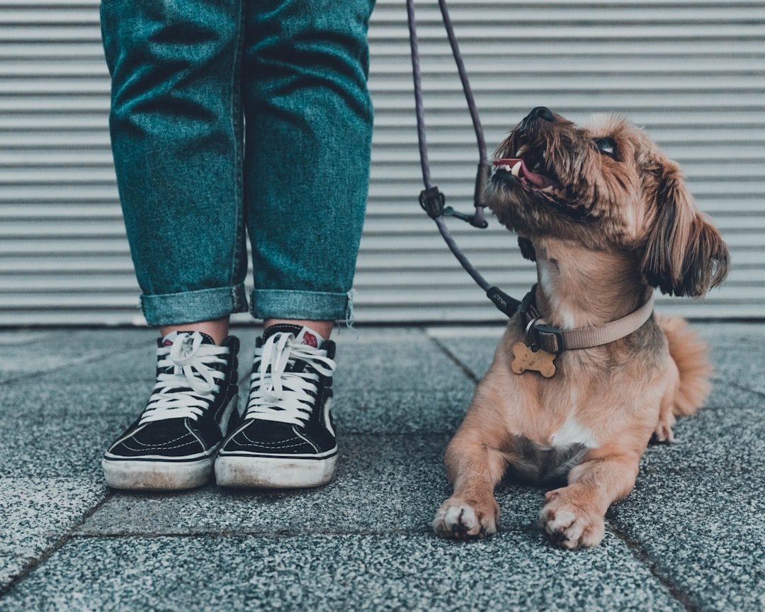 20 Ways to Foster Self-Trust