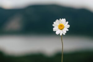 15 Steps to Boost Self-Compassion