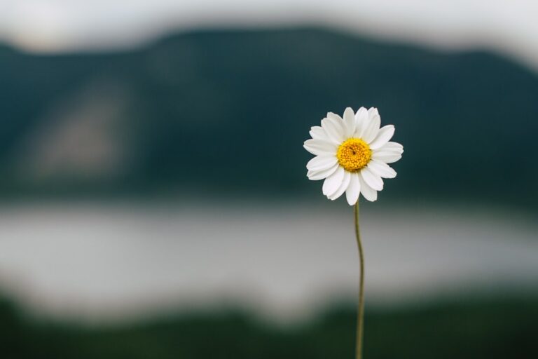 15 Steps to Boost Self-Compassion