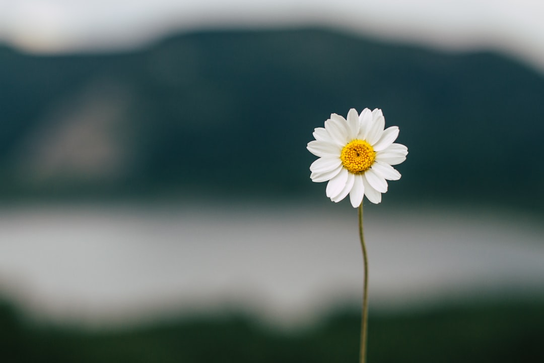 15 Steps to Boost Self-Compassion