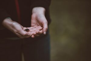 20 Tips for Cultivating Humility