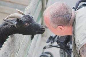 15 Ways to Enhance Compassion
