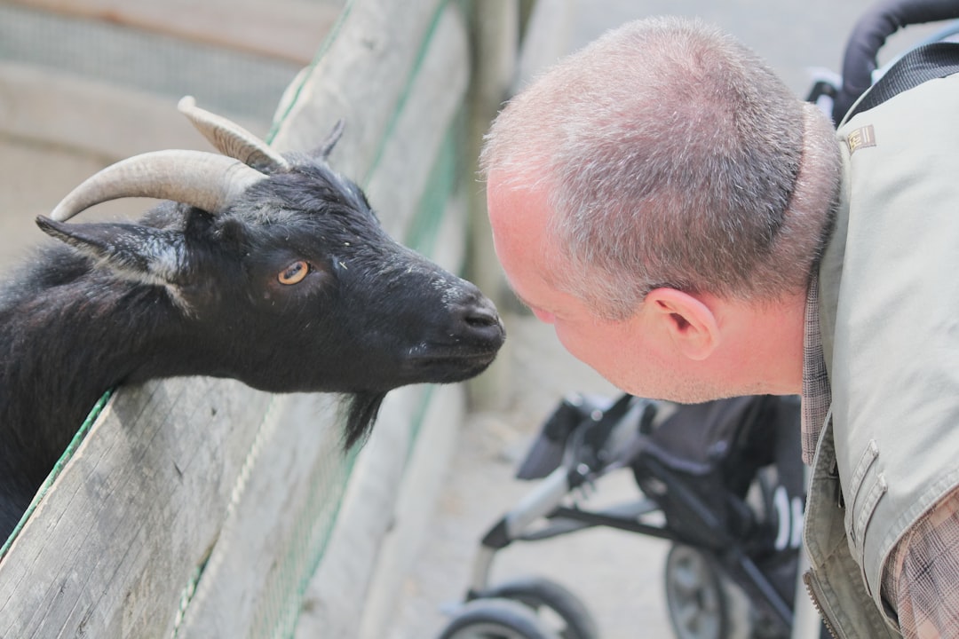 15 Ways to Enhance Compassion