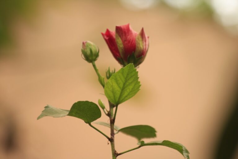 15 Ways to Foster Adaptability