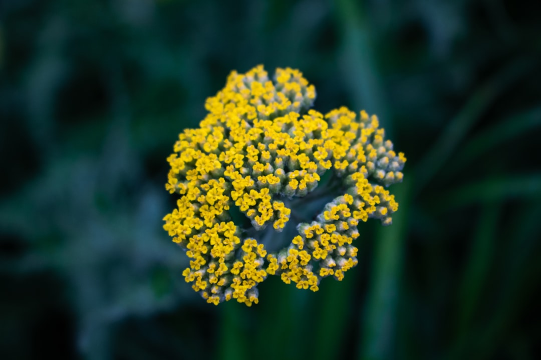 30 Quotes About Growth Steady