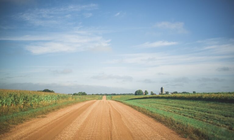 25 Quotes on Life's Path