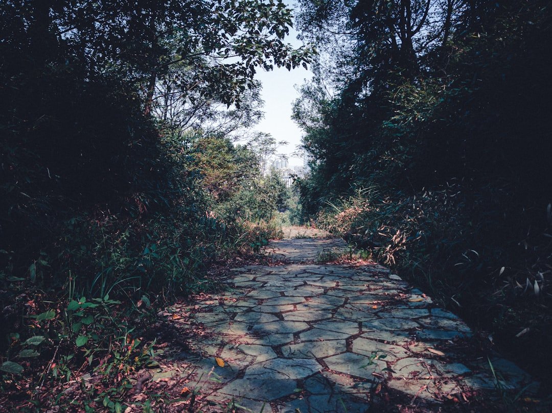 25 Quotes on Life's Ongoing Path