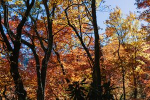 20 Techniques for Outlook Changes