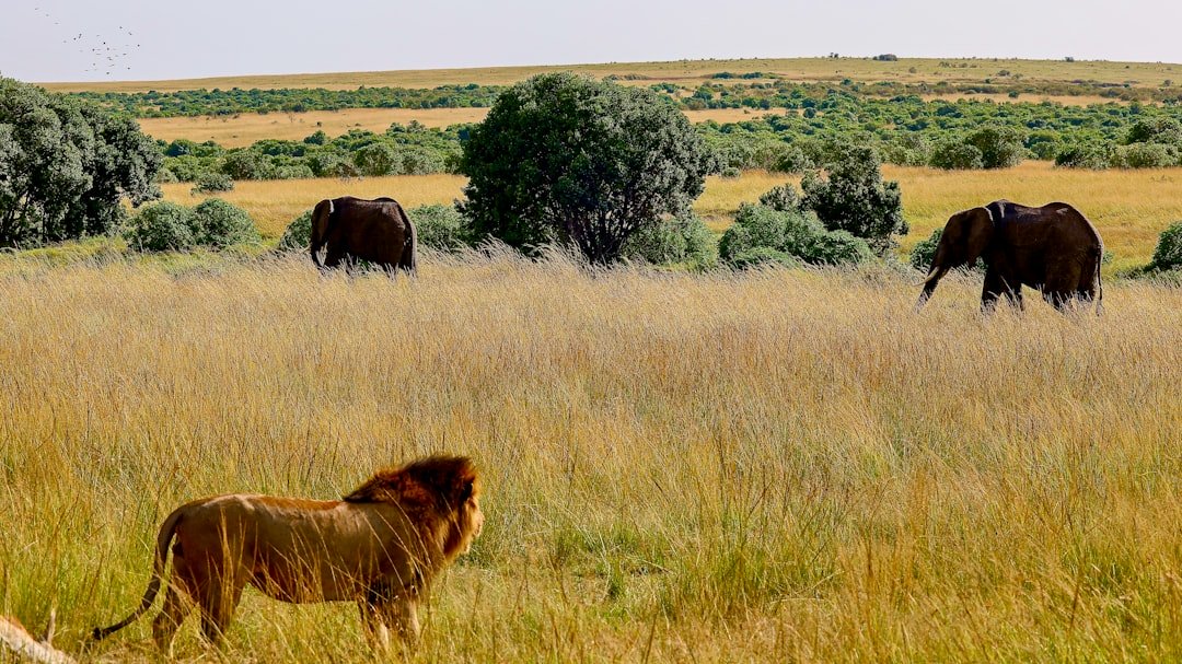 15 Ways to Cultivate Patience Strategically