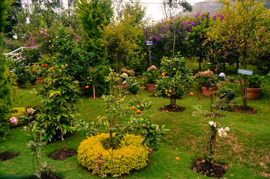 10 Hacks for Quick Garden Care