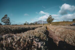 20 Tips for Relationship Building
