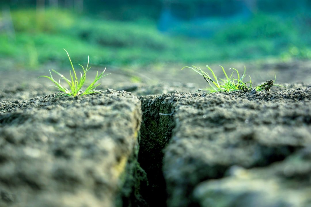 30 Quotes on Building Strong Foundations