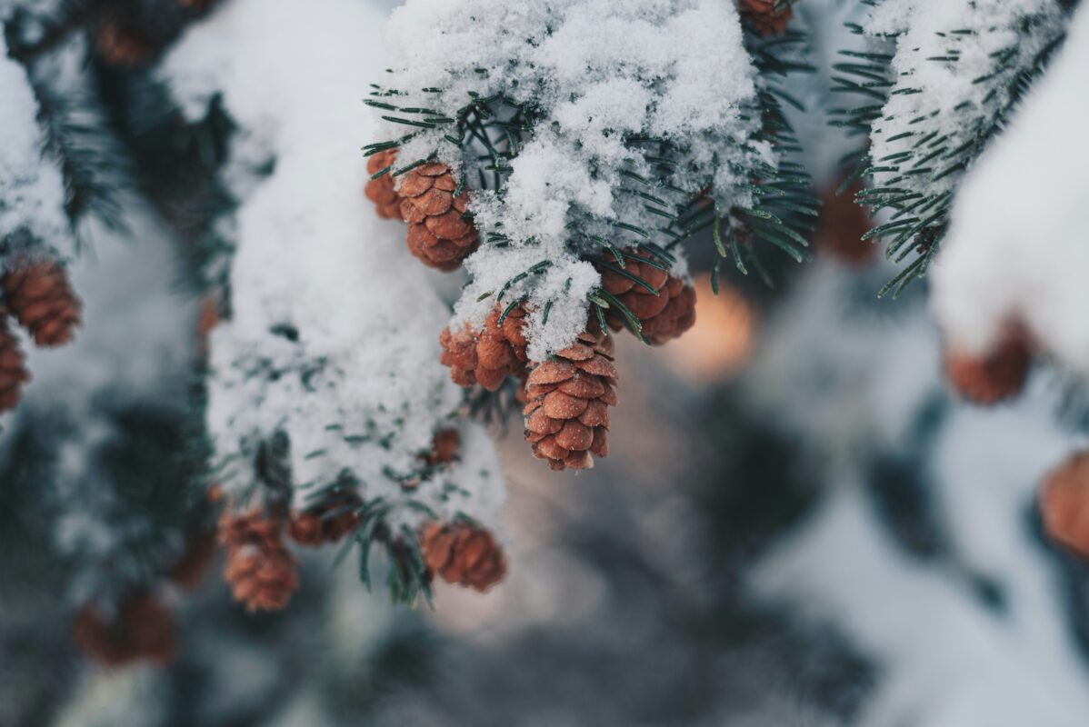Positive Thinking Hacks for Cold Weather Blues