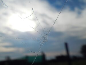 The Simple Act of 'Noticing' That Can Transform Your Spiritual Life