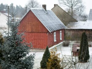 The Danish Secret to Thriving Through the Darkest Winter Months