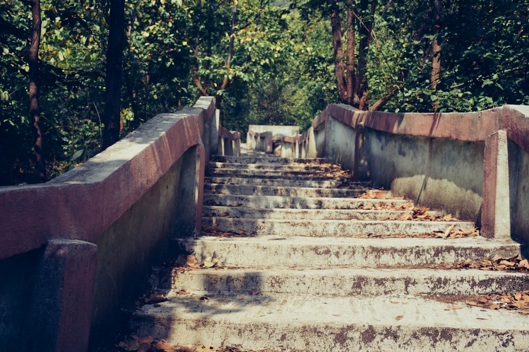 25 Quotes on Steps Toward Greatness