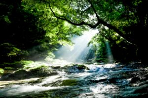 The Spiritual Reason We Are Drawn to Nature