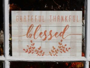 10 Mindset Tips for Thanksgiving Abundance