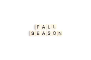 12 Hacks to Streamline Your Fall Routine