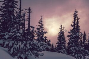 15 Quotes About Holiday Hope and Light