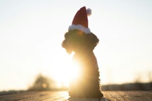 20 Productivity Secrets for Holiday Recovery