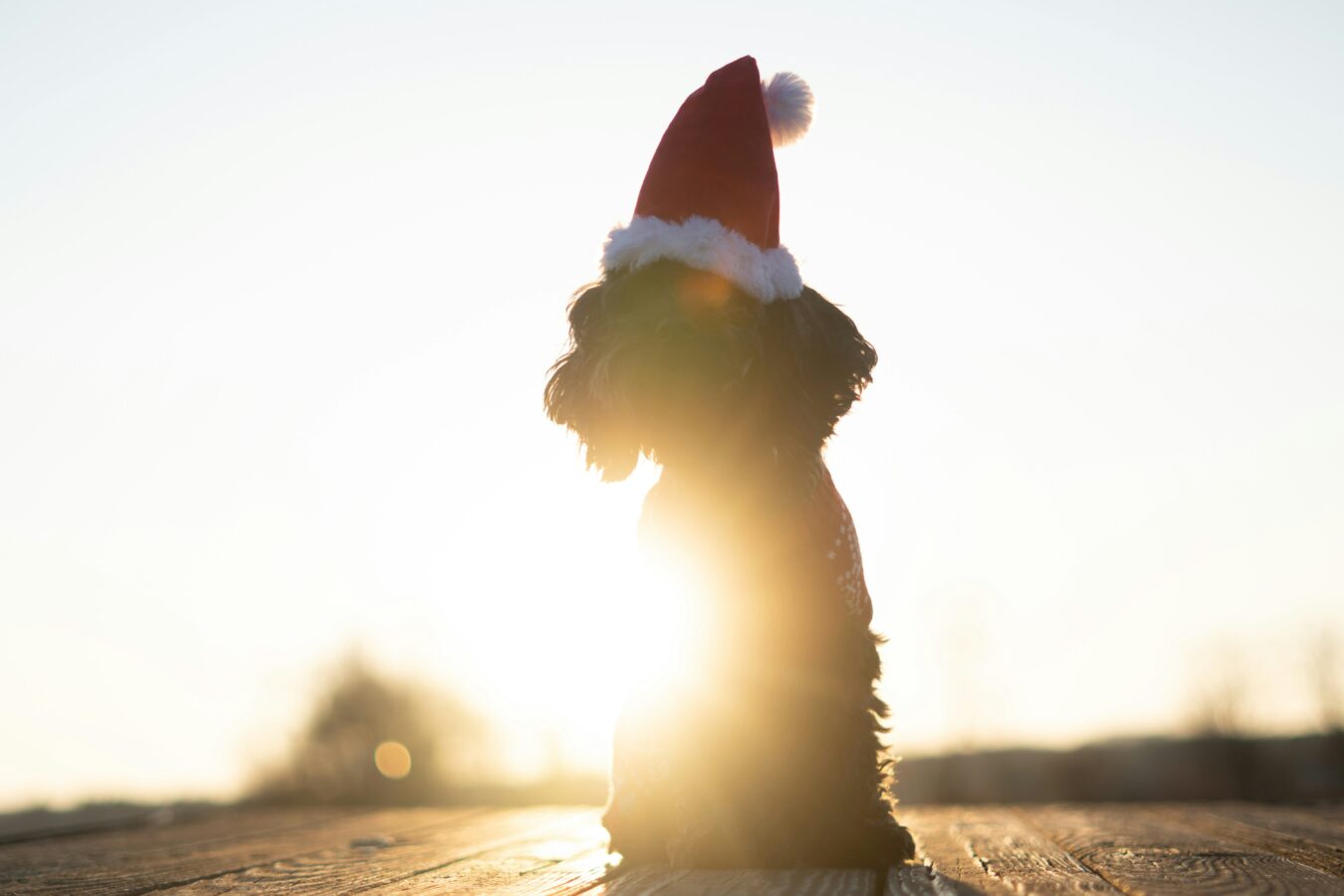 20 Productivity Secrets for Holiday Recovery