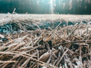 15 Quotes on Winter Personal Growth
