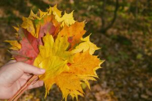 15 Quotes About Fall Personal Renewal
