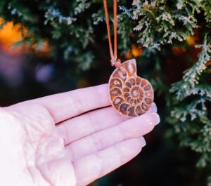 20 Quotes on Seasonal Joy and Wonder