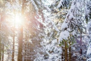 20 Productivity Boosts for Winter Routines