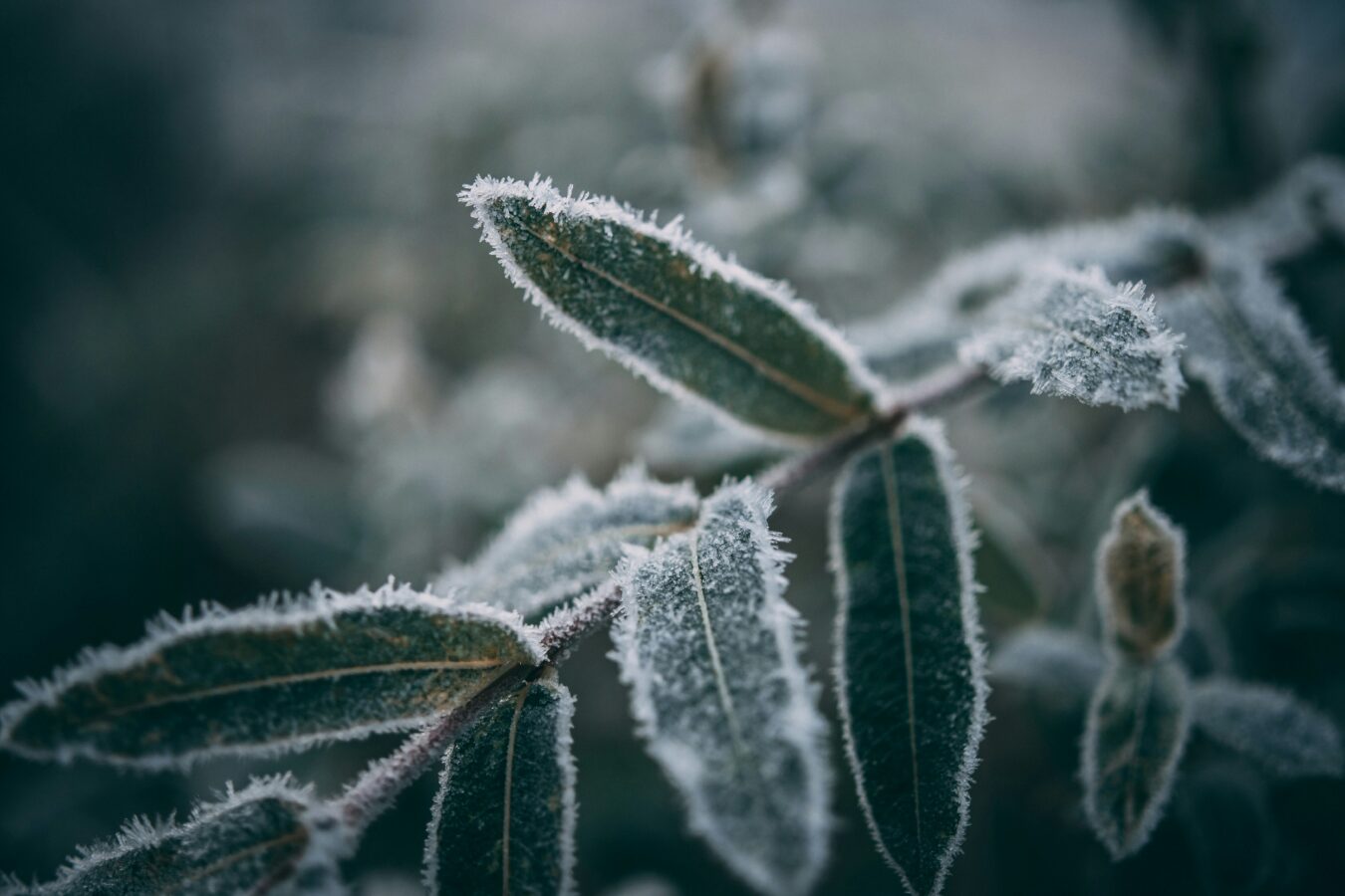 12 Mindset Shifts for Winter Wellness