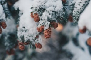 15 Quotes About Winter Wonder and Magic