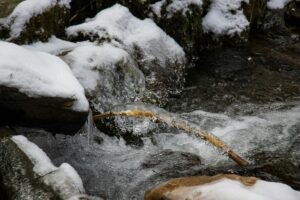 10 Ways to Build Seasonal Habits