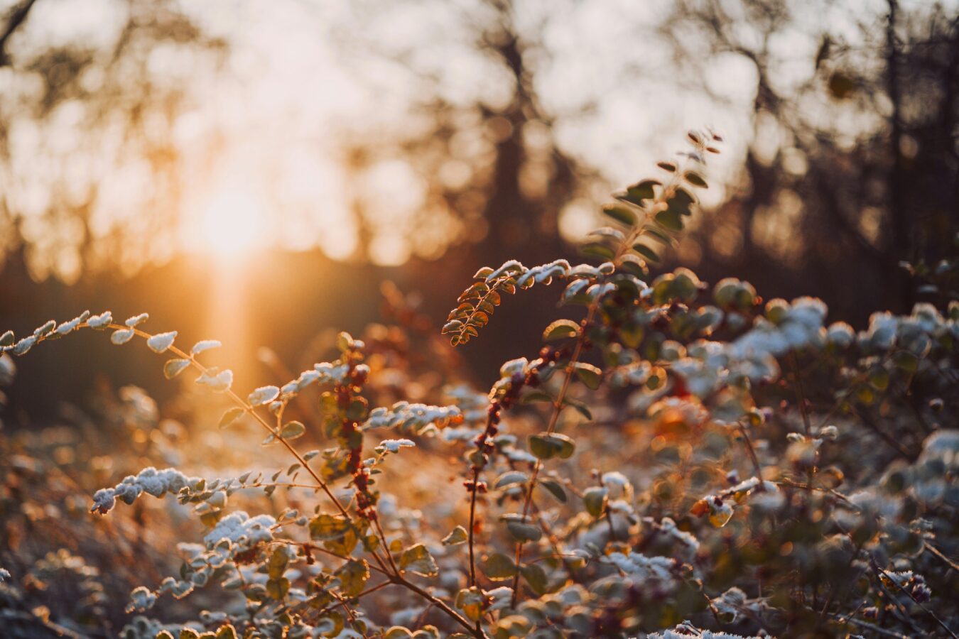 20 Quotes on Seasonal Reflections