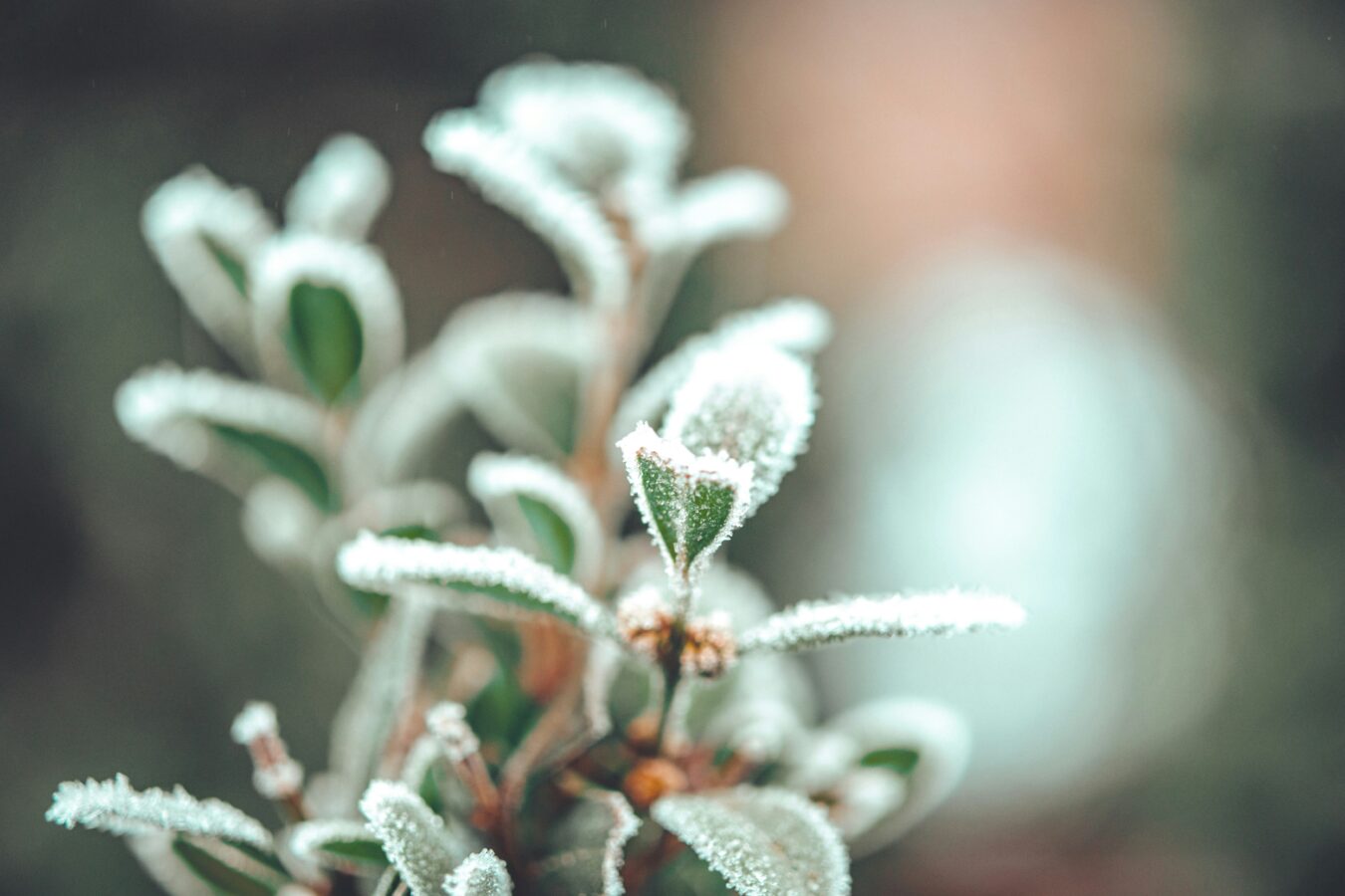 15 Quotes About Winter Aspirations